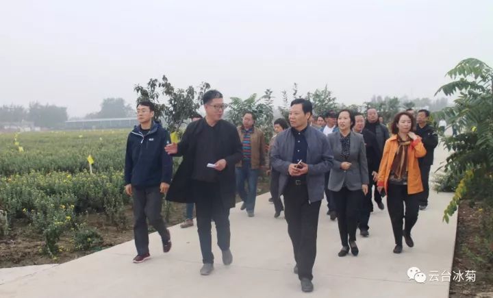 云臺(tái)冰菊基地發(fā)生了什么？一批批領(lǐng)導(dǎo)專家團(tuán)隊(duì)前來！