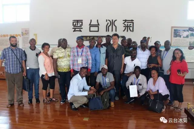 目測(cè)這朵菊花要火，國外專家為它頻頻而來······