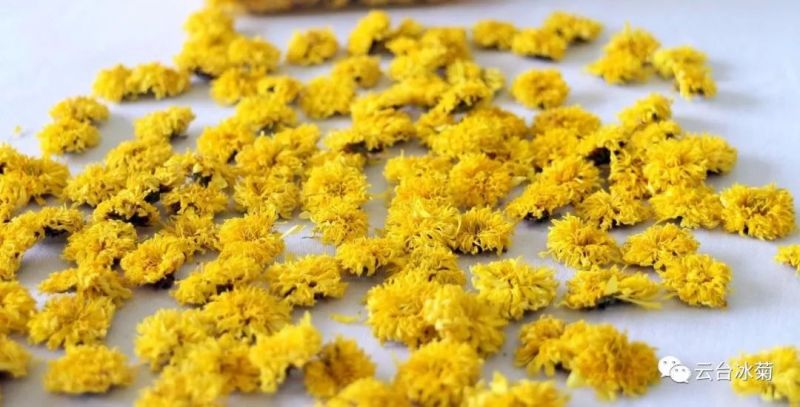 2018，種下希望，靜待花開！